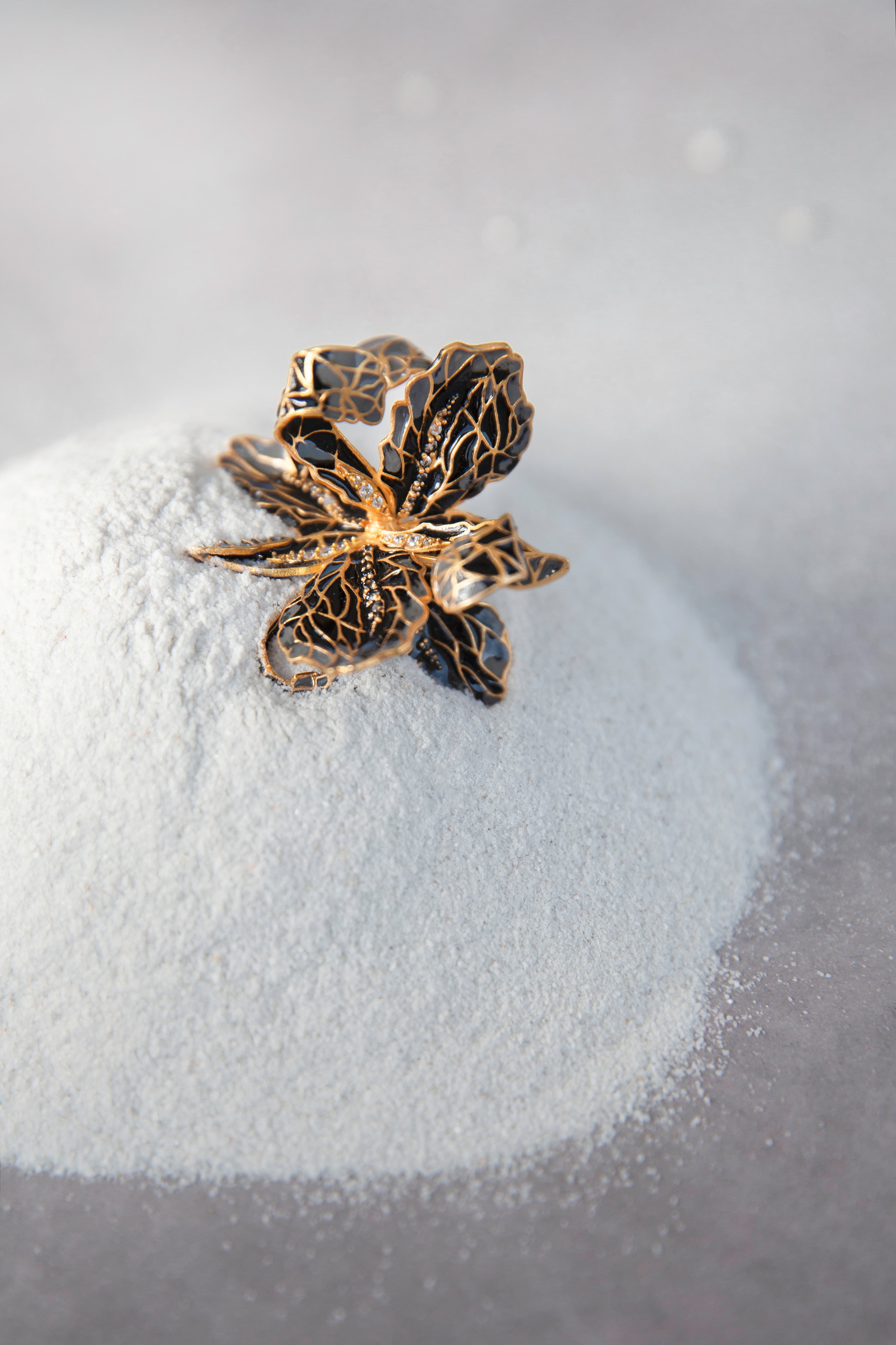 AZGA GARDEN / अज़गा बाग़: Through the eyes of nature