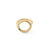 Circle of Life Ring