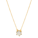 Star mother of pearl neck chain