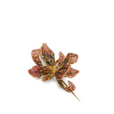 Autumn Lane gift box