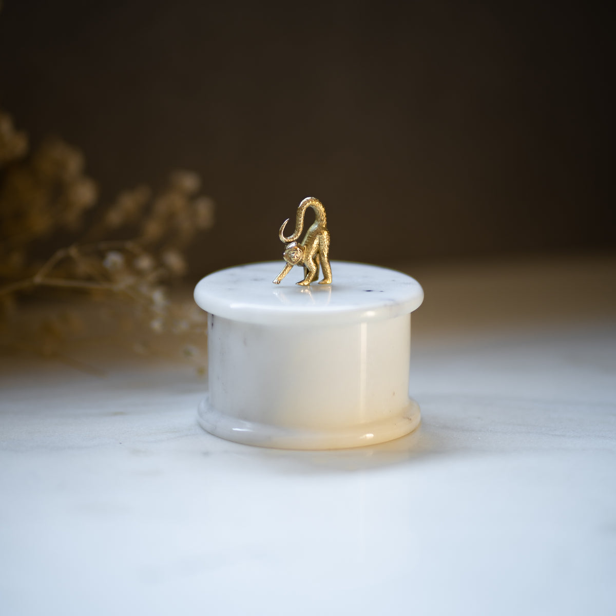 Buy Small Monkey Box - Azga
