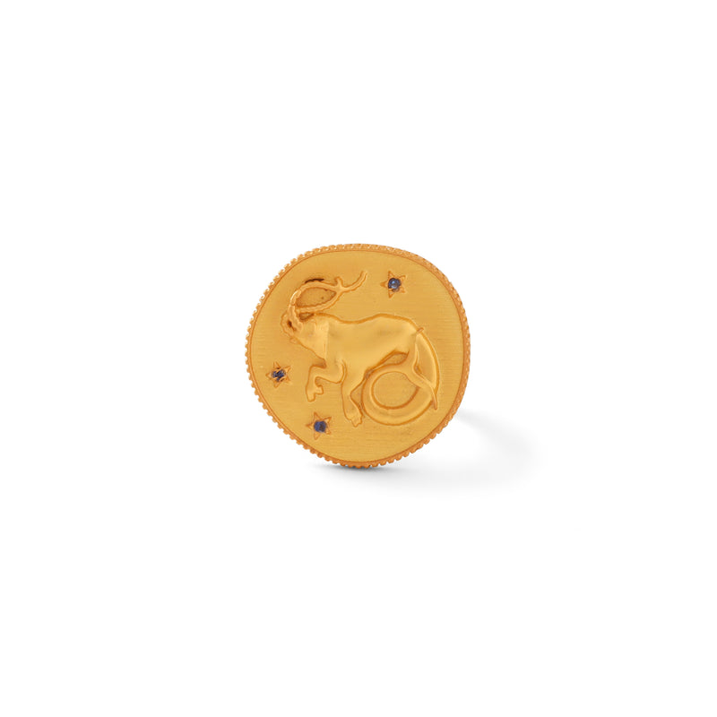 14k Solid Yellow Gold Zodiac CZ Ring - Capricorn - Walmart.com