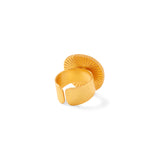 Aquarius Ring